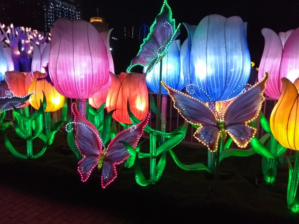 Dubai Garden Glow 