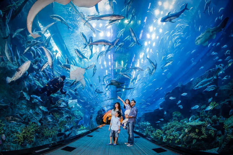 Dubai aquarium Dubai aquarium
